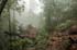 IMG_2939